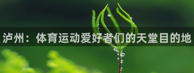 成都意昂电子有限公司
