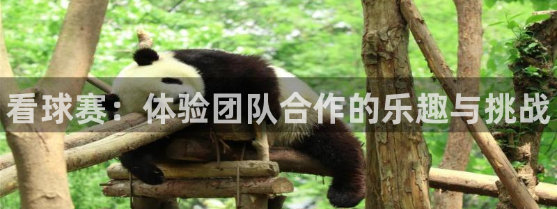 意昂体育官网