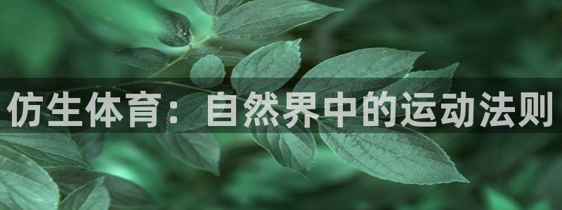 意昂5平台