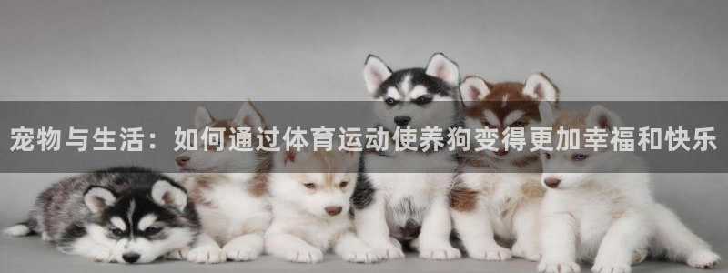 意昂F凯捷体育官网登录