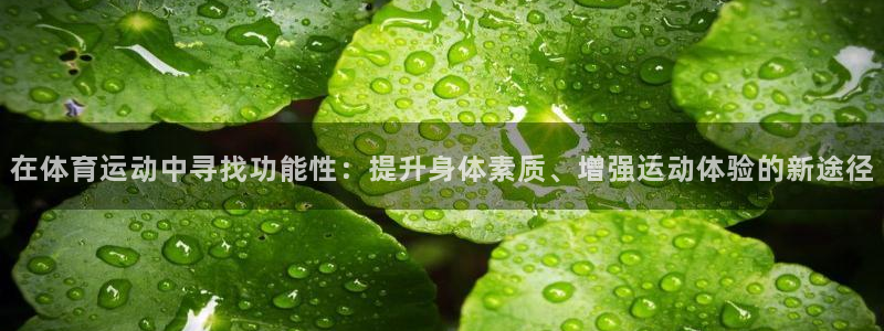 意昂F凯捷体育1招商
