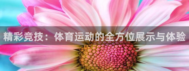 意昂F凯捷体育app下载