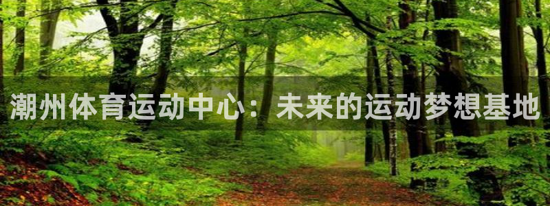意昂新能源汽车科技有限公司