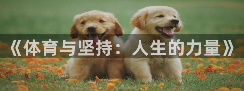 意昂4